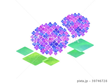 紫陽花_パープル 39746728