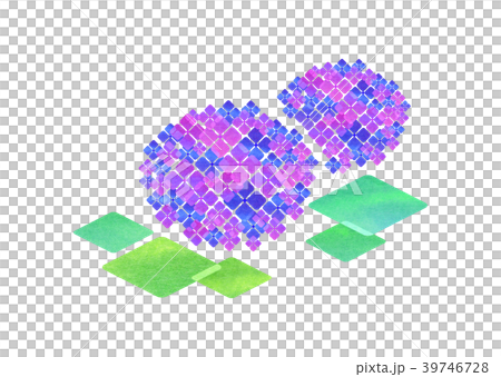 紫陽花_パープル 39746728