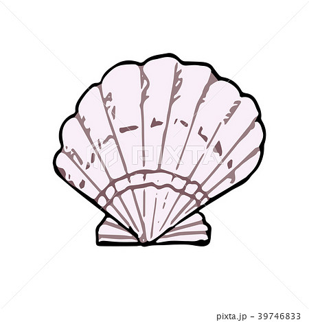 貝がら ベクターイラスト 貝がら ベクターイラスト 39746833