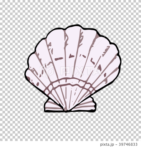 貝がら ベクターイラスト 貝がら ベクターイラスト 39746833