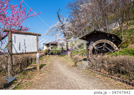 秩父 羊山公園の牧水の滝 秩父 羊山公園の牧水の滝 39747942