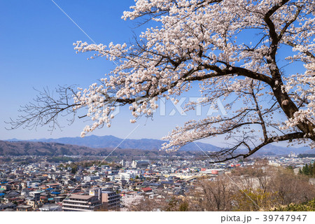 埼玉県秩父市 羊山公園見晴らしの丘からの眺望 39747947