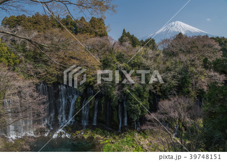 白糸の滝と富士山 39748151