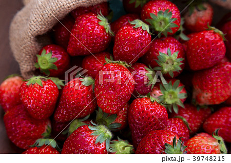 麻袋から溢れる沢山の新鮮なイチゴ 39748215