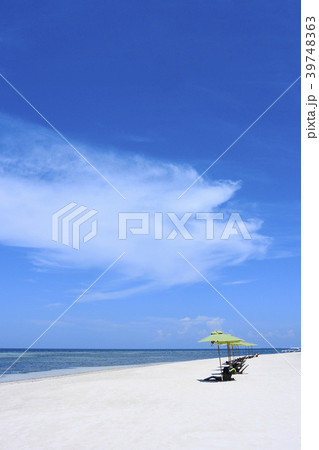 フィリピンPanglaoのビーチ 39748363