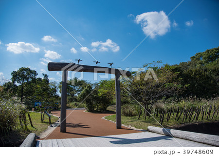 吉野ヶ里遺跡 吉野ヶ里歴史公園 環濠と逆茂木 吉野ヶ里遺跡 吉野ヶ里歴史公園 環濠と逆茂木 39748609