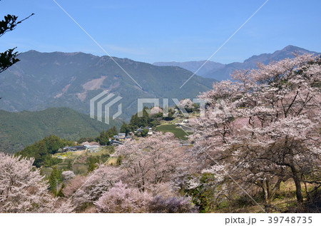 仁淀川町の春 仁淀川町の春 39748735