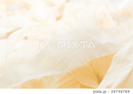 カンナくず 39748769