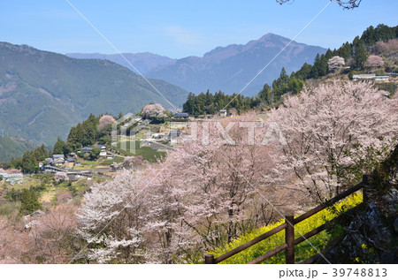 仁淀川町の春 仁淀川町の春 39748813