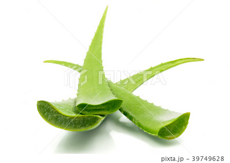 Aloe vera plant on white background. 39749628