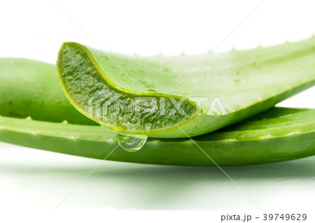 Aloe vera plant on white background.  39749629