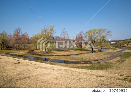 埼玉県　大宮第二公園　調節池　早春　 39749932