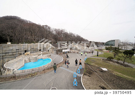 札幌 円山動物園の園内風景(ホッキョクグマ館付近) 札幌 円山動物園の園内風景(ホッキョクグマ館付近) 39750495