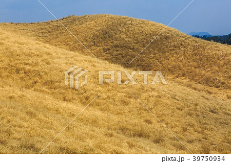 箱石峠　【熊本県阿蘇市】 39750934