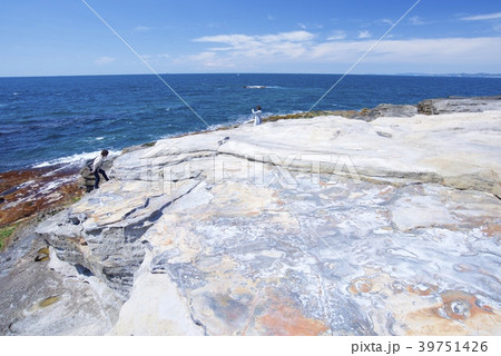 和歌山県南紀白浜の千畳敷（春） 39751426