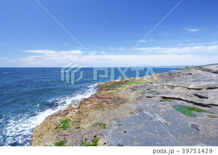 和歌山県南紀白浜の千畳敷（春） 39751429