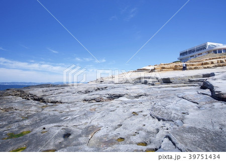 和歌山県南紀白浜の千畳敷（春） 39751434