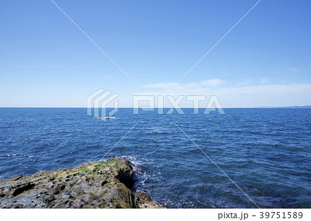 和歌山県南紀白浜の千畳敷（春） 39751589