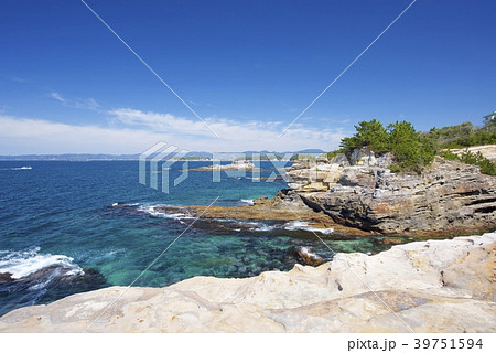 和歌山県南紀白浜の千畳敷(春) 和歌山県南紀白浜の千畳敷(春) 39751594