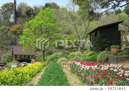 神戸布引ハーブ園 よろこびの庭 の写真素材
