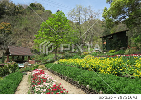 神戸布引ハーブ園~よろこびの庭~ 神戸布引ハーブ園~よろこびの庭~ 39751643