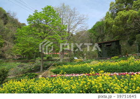 神戸布引ハーブ園～よろこびの庭～ 39751645