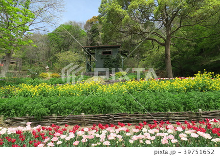 神戸布引ハーブ園～よろこびの庭～ 39751652