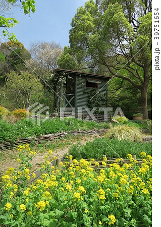 神戸布引ハーブ園~よろこびの庭~ 神戸布引ハーブ園~よろこびの庭~ 39751654