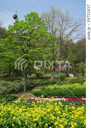 神戸布引ハーブ園～よろこびの庭～ 39751657