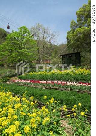 神戸布引ハーブ園～よろこびの庭～ 39751658