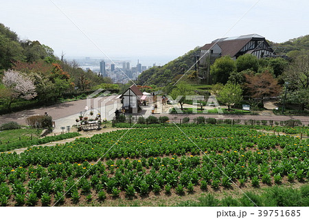 神戸布引ハーブ園～風の丘フラワー園～ 39751685