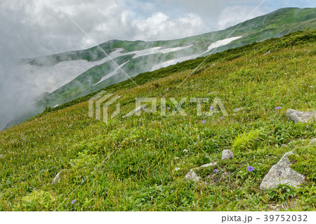 飯豊本山の登りから見上げる残雪の稜線 飯豊本山の登りから見上げる残雪の稜線 39752032