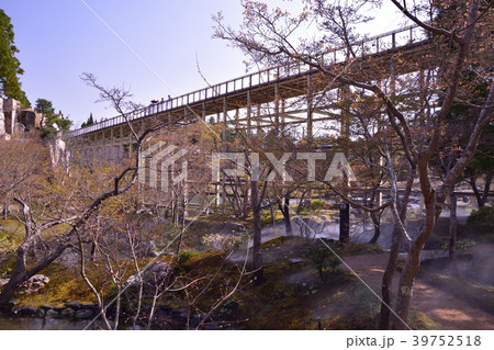 観月橋と庭園 39752518