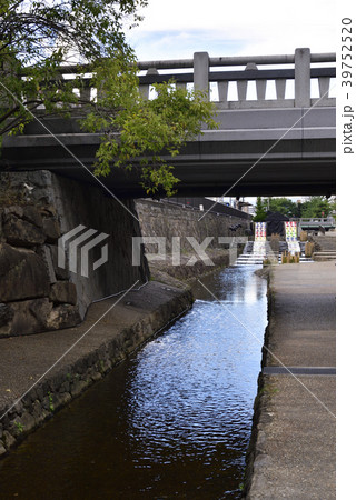 京の七夕 光の友禅流し 京の七夕 光の友禅流し 39752520