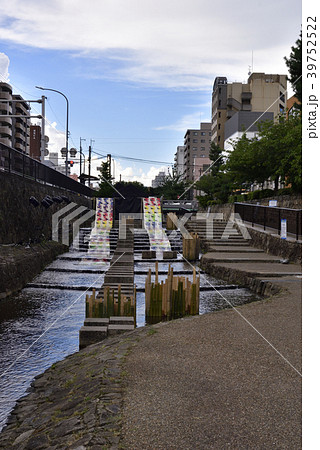 京の七夕 光の友禅流し 京の七夕 光の友禅流し 39752522