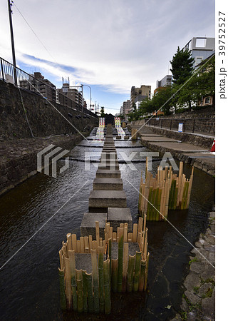 京の七夕 光の友禅流し 京の七夕 光の友禅流し 39752527