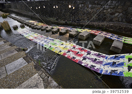 京の七夕 光の友禅流し 京の七夕 光の友禅流し 39752539