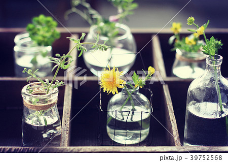 草花を飾る 39752568