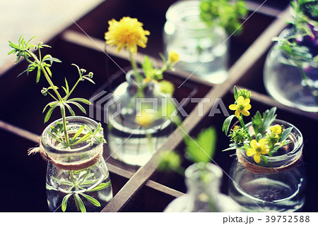 草花を飾る 39752588