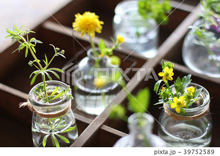 草花を飾る 39752589