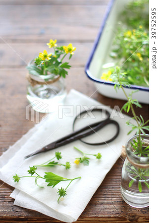 草花を飾る 39752595