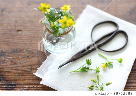 草花を飾る 39752598