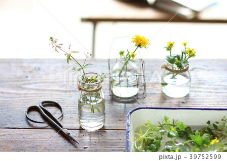草花を飾る 39752599