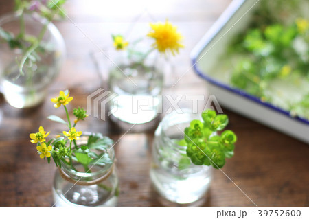 草花を飾る 39752600