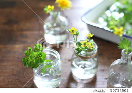 草花を飾る 39752601
