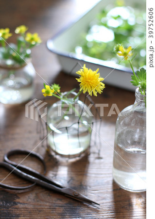 草花を飾る 39752606