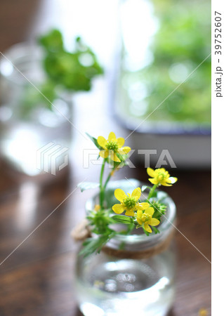 草花を飾る 39752607