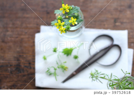 草花を飾る 39752618