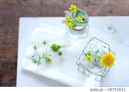 草花を飾る 39752621