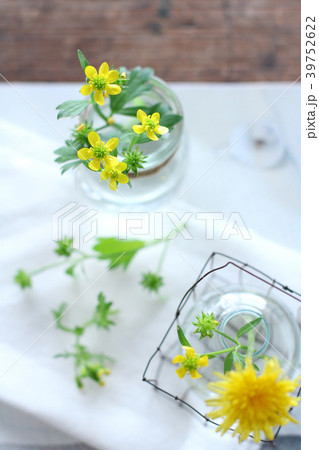 草花を飾る 39752622